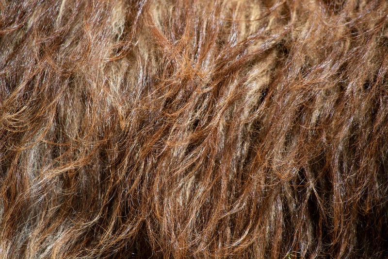 Mid Layers